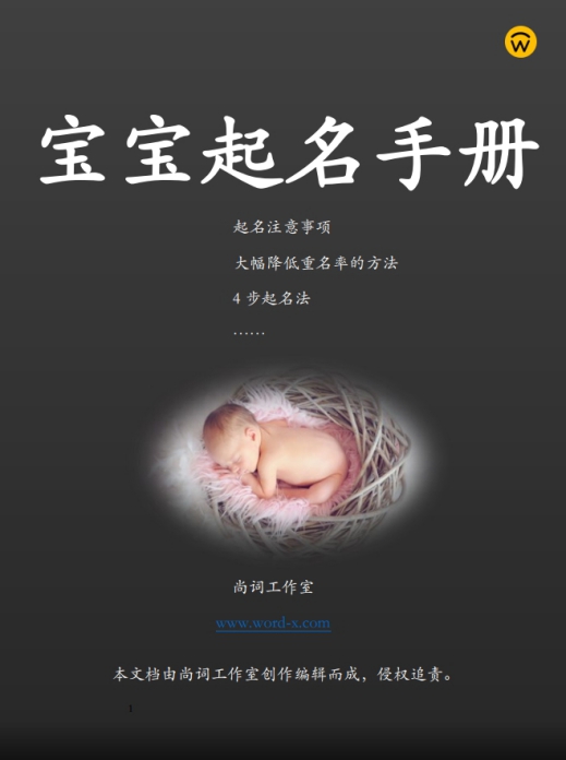 《宝宝起名知识点》pdf手册封面尚词工作室